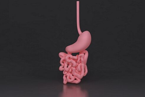 parasitized intestines
