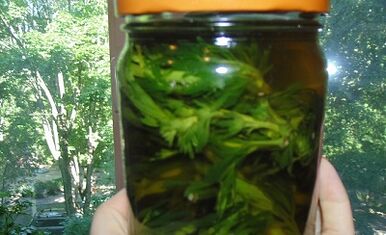 Herbal tincture to remove parasites from the body