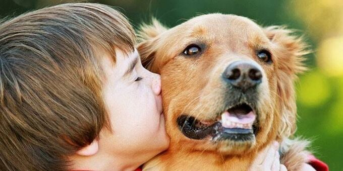 boy kisses dog and becomes infected with parasites