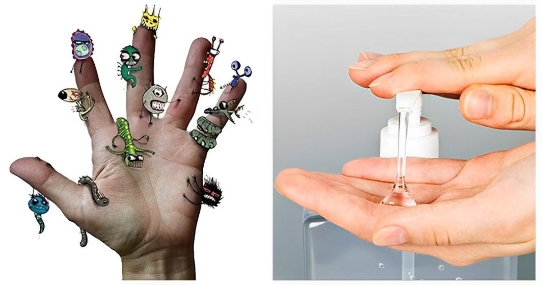various bacteria on your hands
